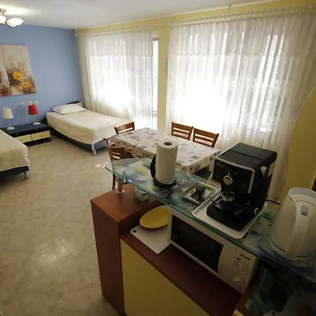 Apartman Spacious Bravo1 Napospart